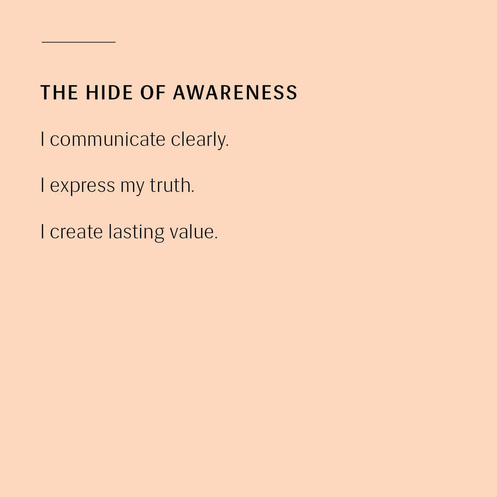 The Hide of Awareness - Silver & Gold Choker Necklace