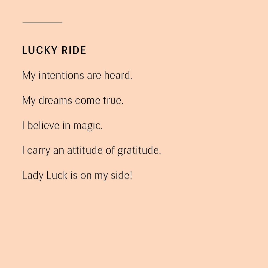 Lucky Ride - Delicate Silver ring with Gold Bar Ring