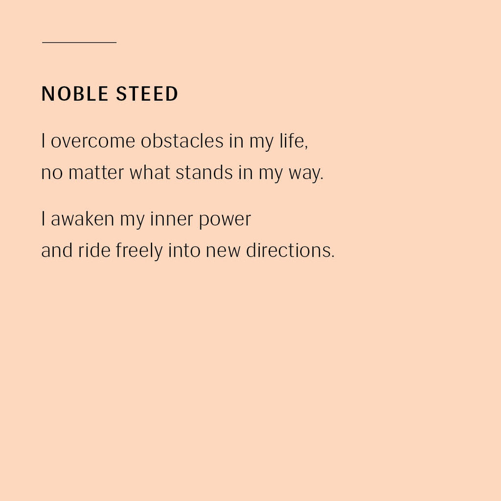 Noble Steed - Gold & Silver Slip in Earrings