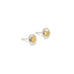 Herding Unity - Gold & Silver Earrings