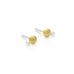 The Radiator - Gold & Silver Stud Earrings