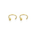 Noble Steed - Gold & Silver Slip in Earrings