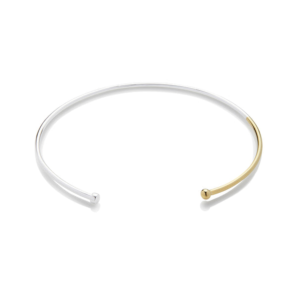 The Hide of Awareness - Silver & Gold Choker Necklace