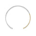 The Hide of Awareness - Silver & Gold Choker Necklace